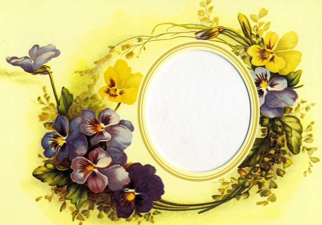 Wallpapers Pansies Flowers Image