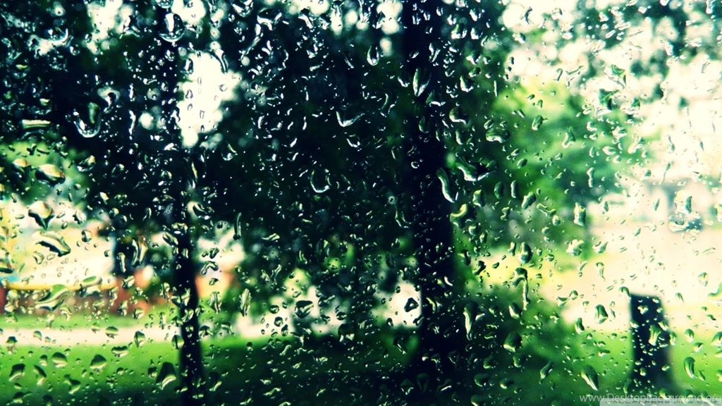 After A Summer Rain HD Desktop Wallpapers : High Definition ...