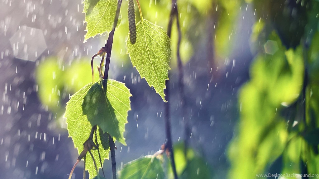 Abstract Summer Rain Wallpapers, HD Wallpapers Downloads