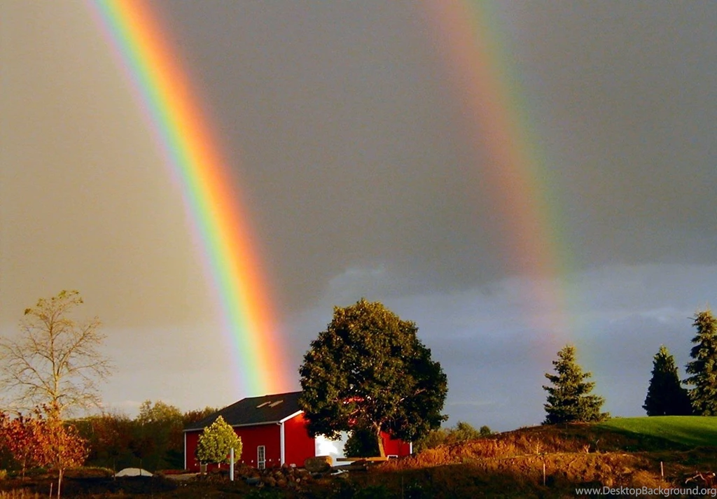 Summer Rain (id: 52111) – BUZZERG