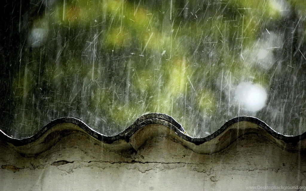 Summer Rain Beats On The Roof Wallpapers And Images Wallpapers ...