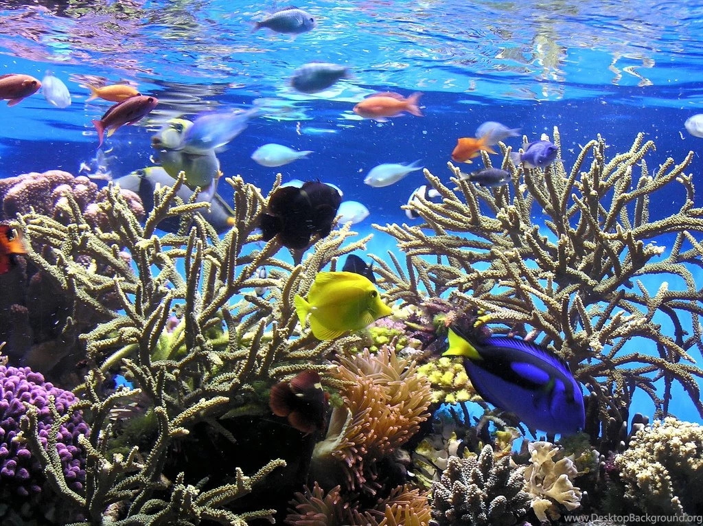 2012 February Page 3