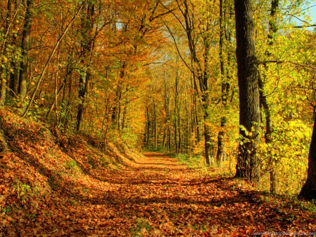 Fall Season Wallpapers