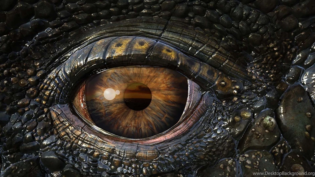 Real Dragons Eye