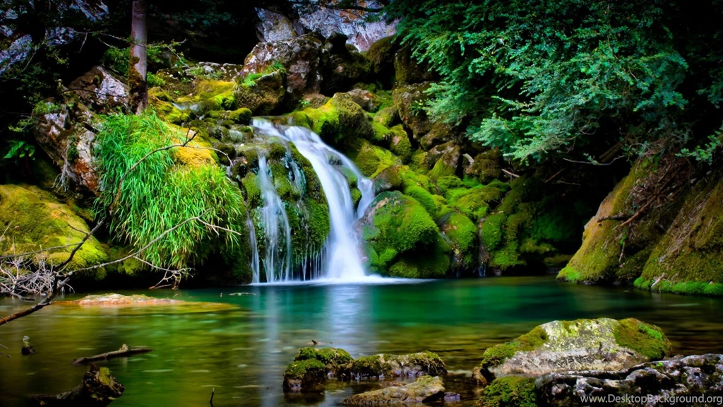 Download Wallpapers In HD hdmegawallpaper.com