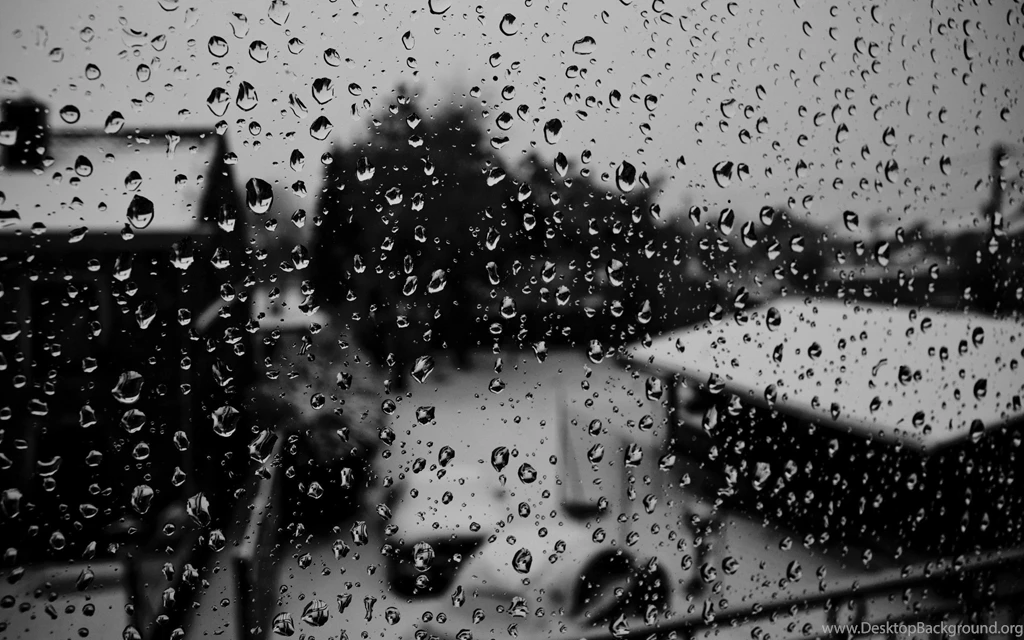 Black And White Water Drops Condensation Wallpapers