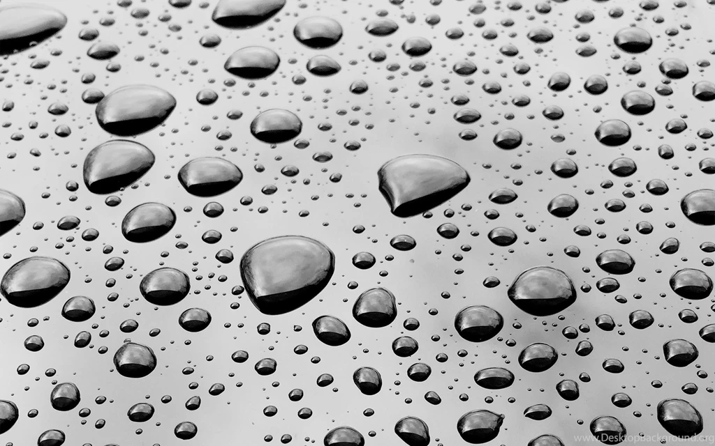 Water Drops Black & White Wallpapers
