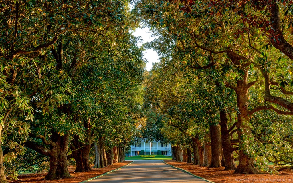 Glass Entertainment Management Masters Travel Packages US Open ...
