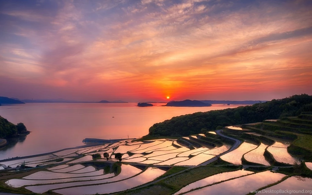 Sunsets: Nagasaki Prefecture Japanese Scenery Fields Sunset Japan ...
