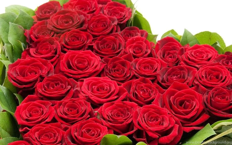 Loving2you: Rose Day 7th February