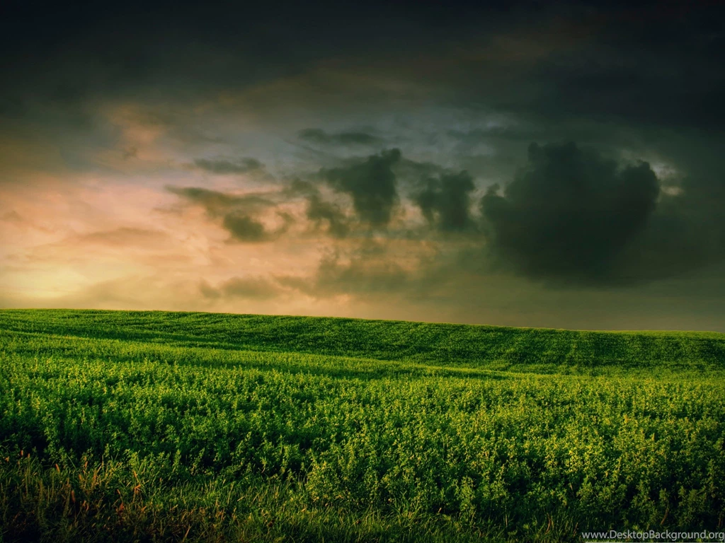 High Resolution Wallpapers, Beautiful Green Grass Field, Great ...