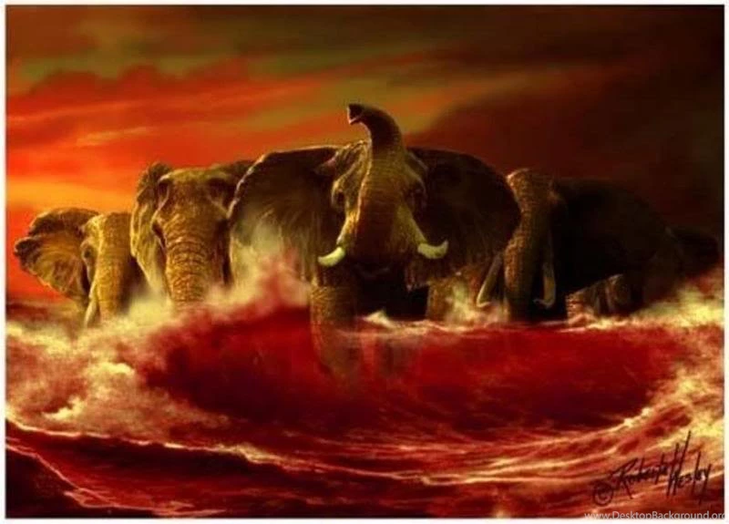 University Of Alabama Painting, Crimson Tide Photo By KellyTusk7 ...