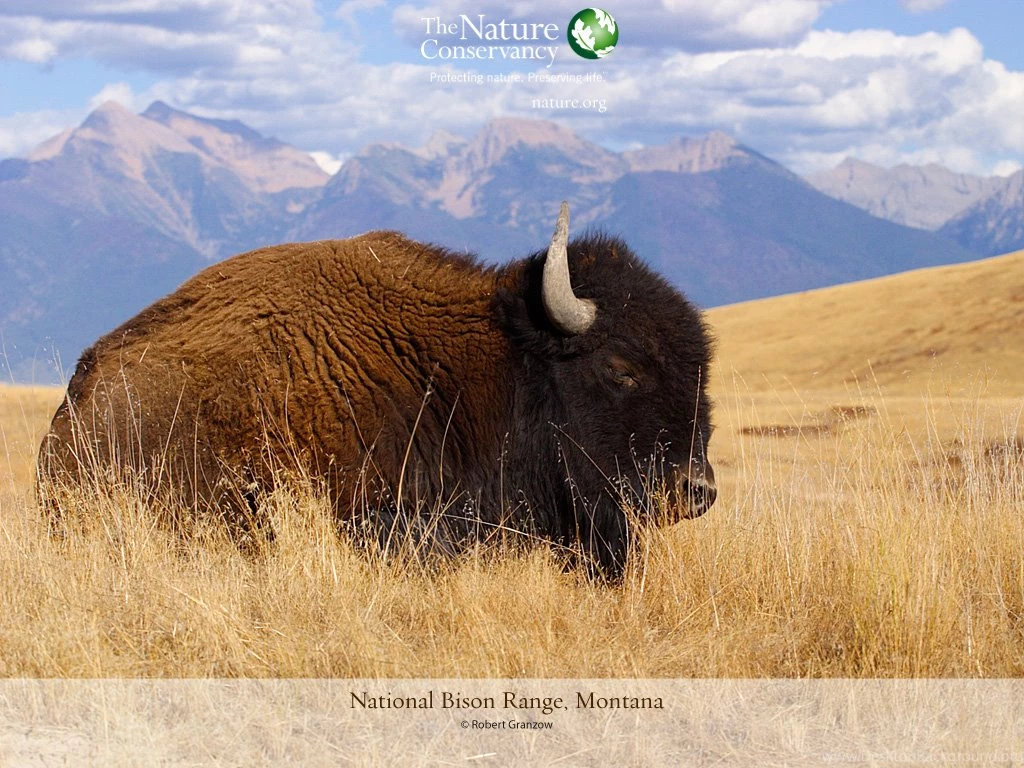 Photo Of The Month January2012