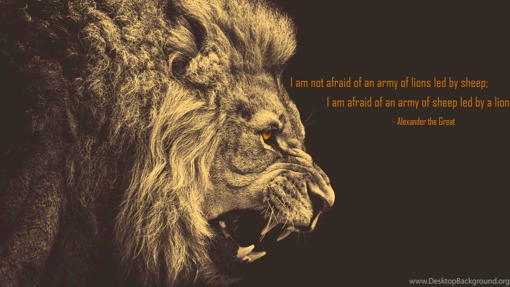 Alexander The Great Quotes On War. QuotesGram