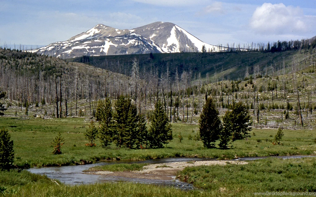 Hadley Ives Desktops