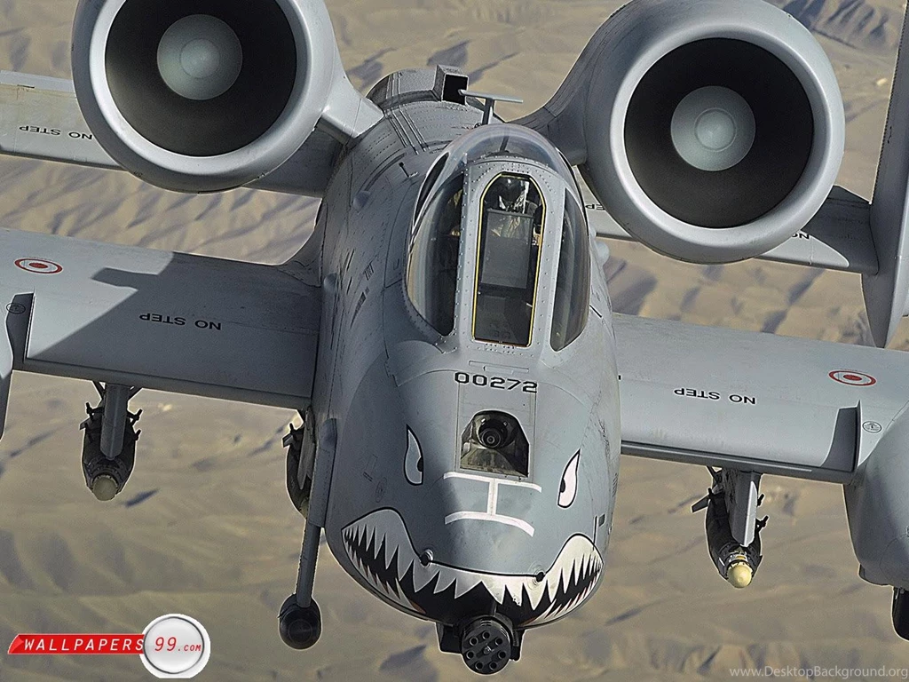 A 10 Warthog Wallpapers Picture Image 1400x1050 17688