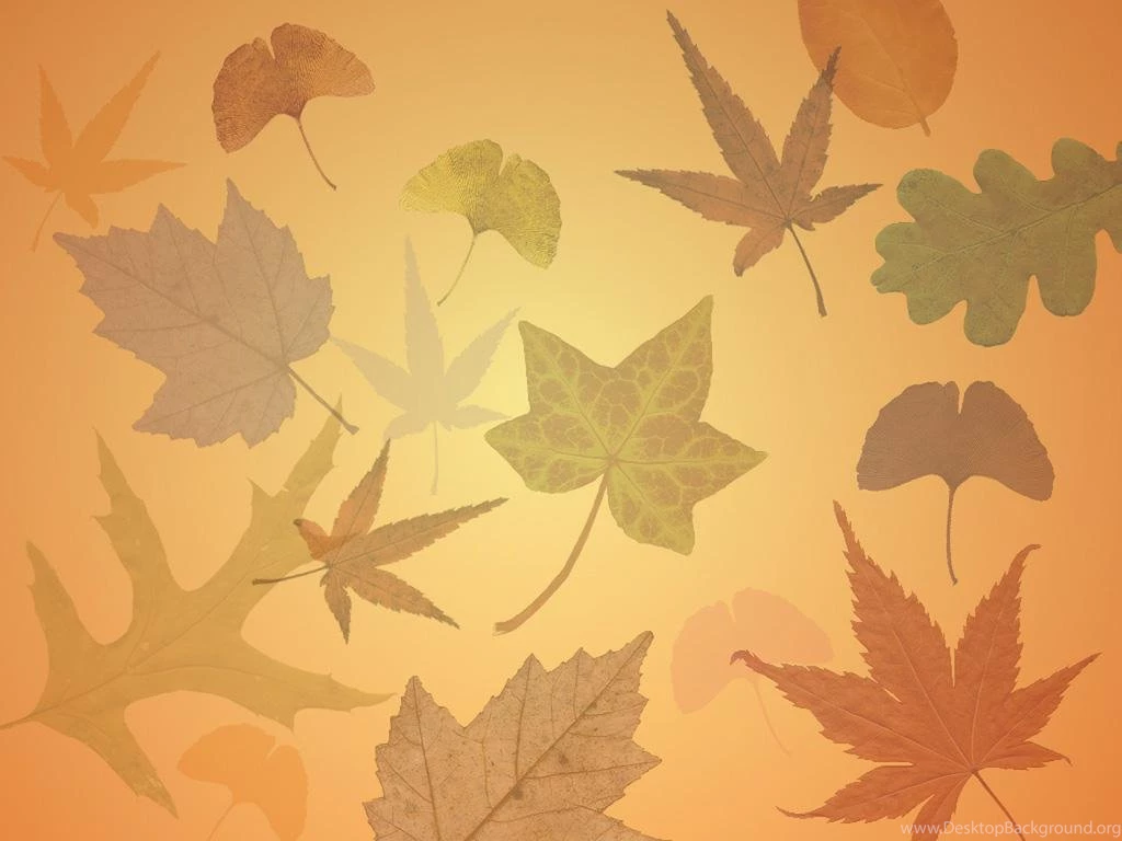 Free Fall Computer Wallpapers Desktop Wallpapers Www