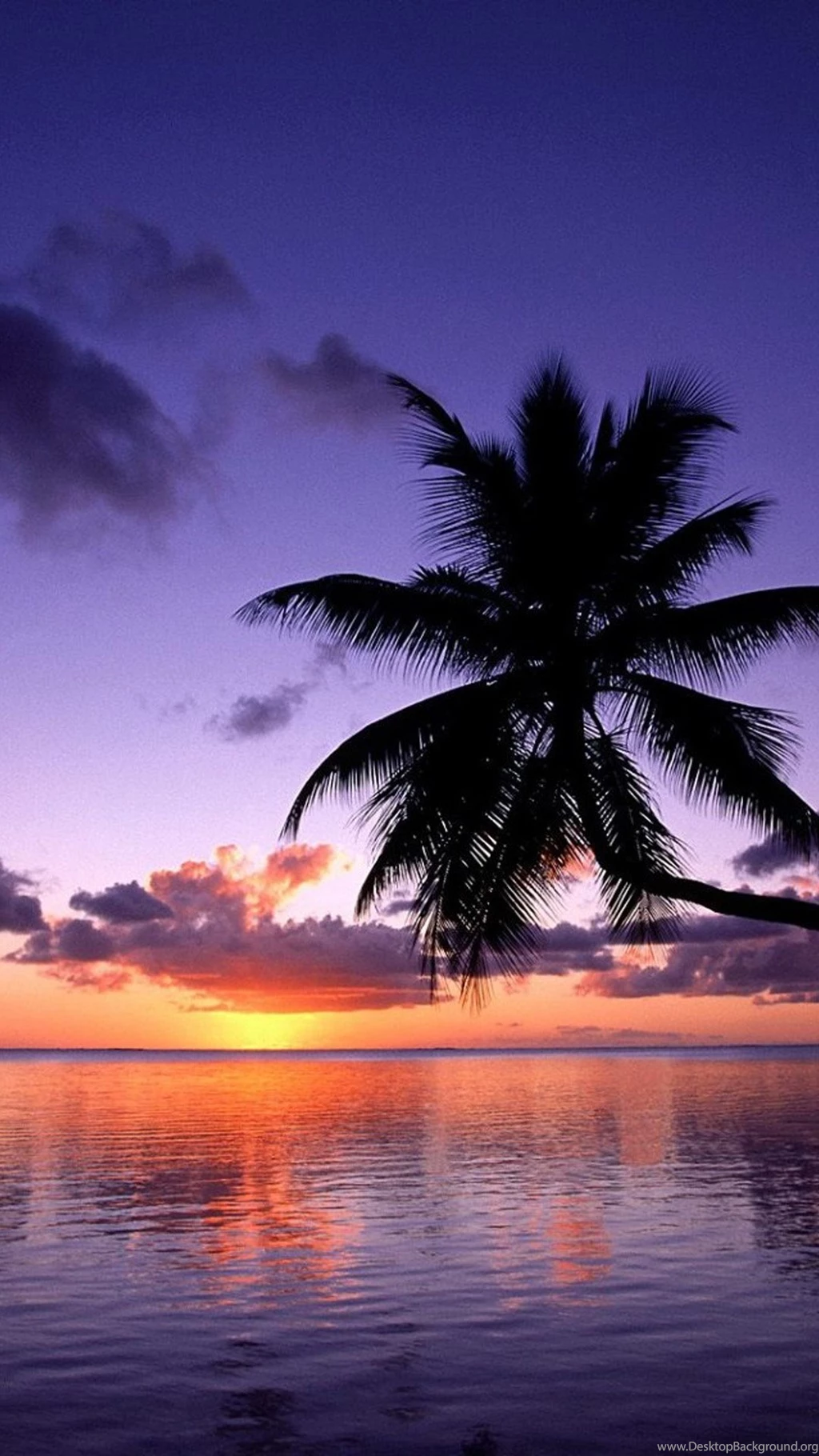 Perfect Beach Natural Galaxy S5 Wallpapers 334