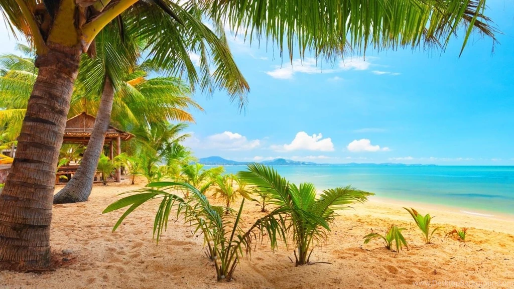 Beach Wallpapers