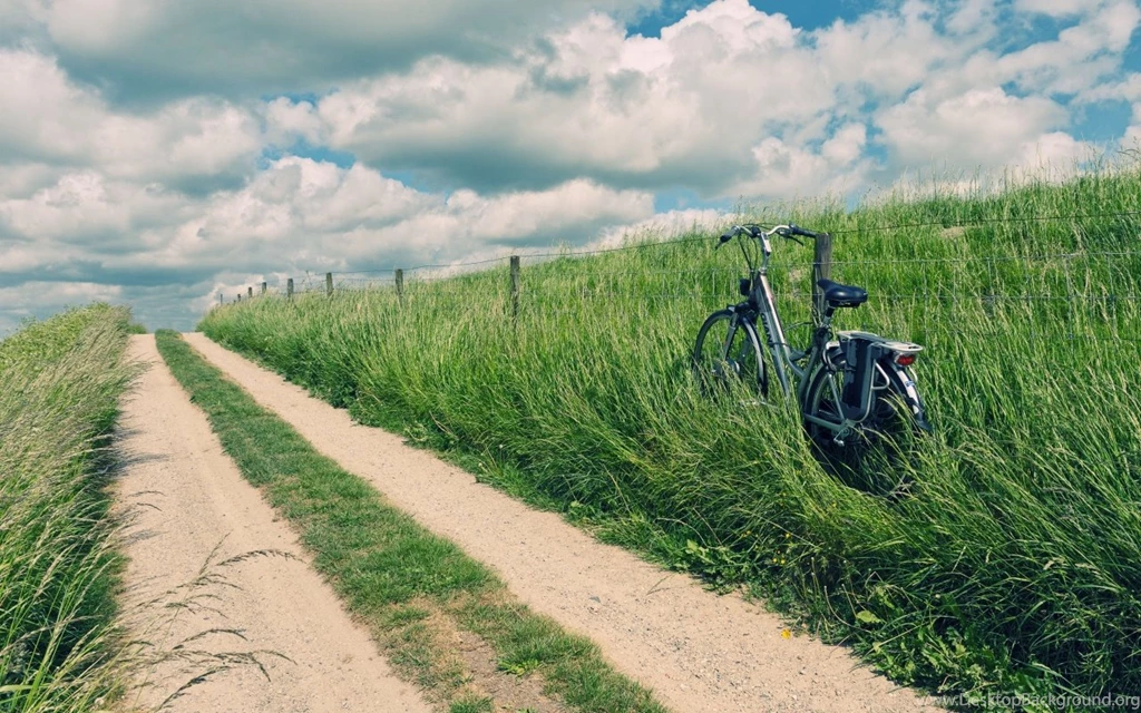 Countryside Cycling Adventure   HD Wallpapers Widescreen   1280x800