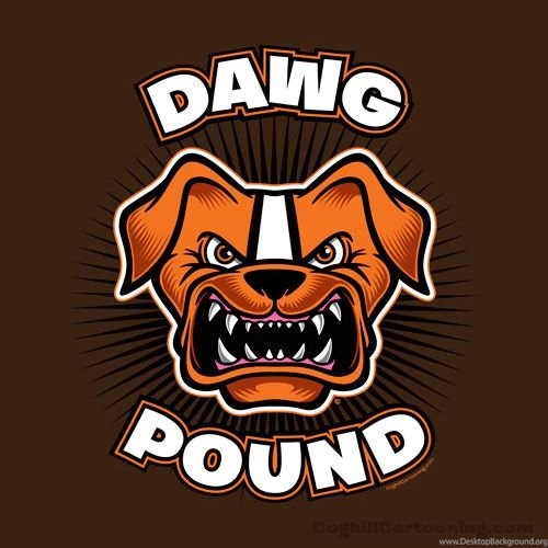 CLEVELAND BROWNS On Pinterest