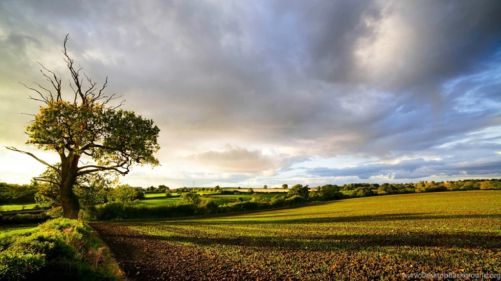 English Wallpapers