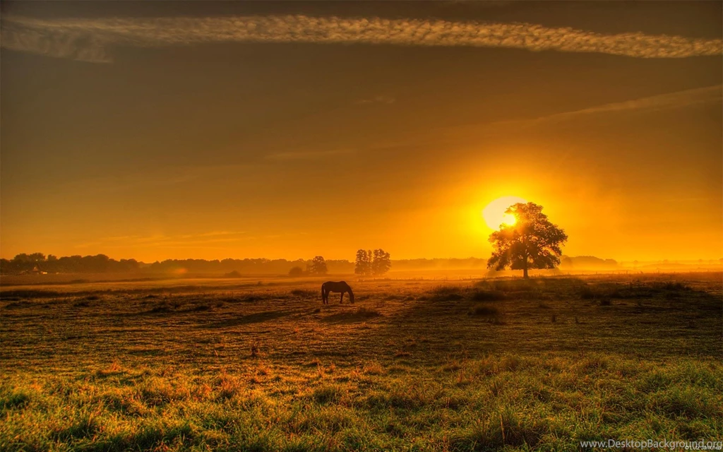 Sunset Countryside Backgrounds Picture Wallpaper, Size: 1920x1200 ...