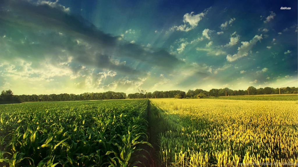 11800 Countryside Fields 1920x1080 Nature Wallpapers
