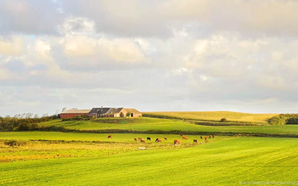 779434 Countryside Wallpapers