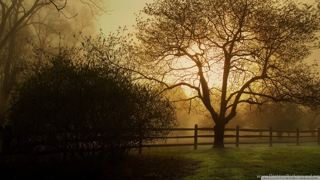 Download Countryside Wallpapers 1920x1080