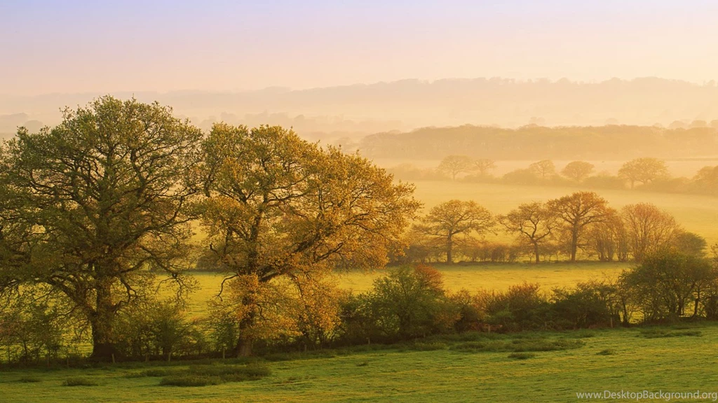 Wallpapers English Countryside Free Hd Trees In The Dusk X ...
