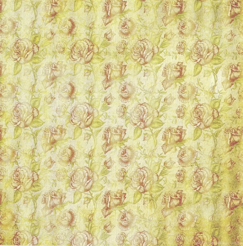 Amazing Old Roses Wallpapers