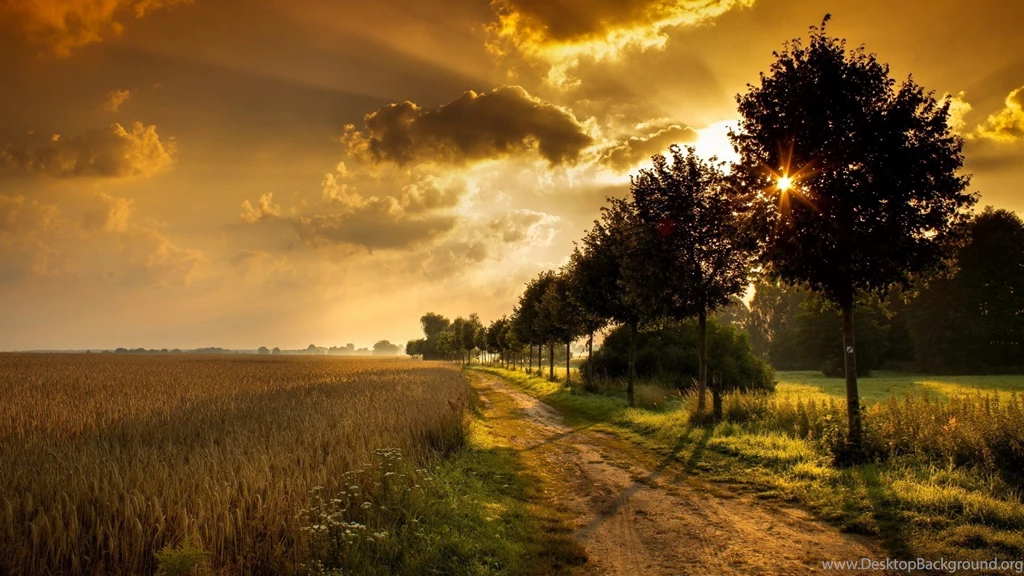 Sunset On The Countryside Wallpapers