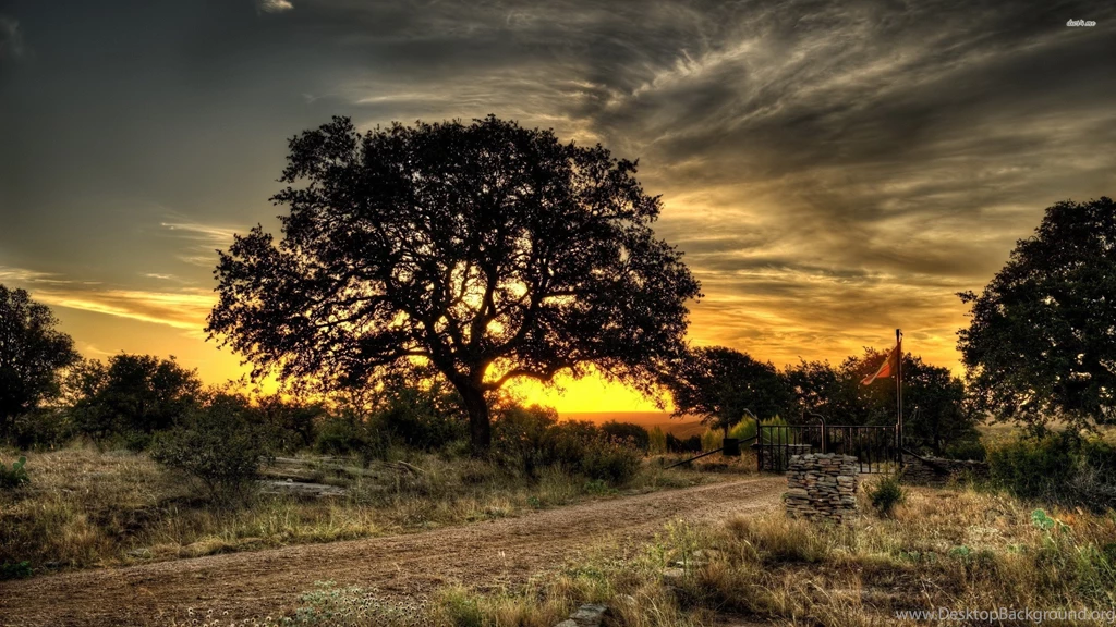 Wallpapers Sky Night Road Nature Gate Tree Dusk Countryside ...