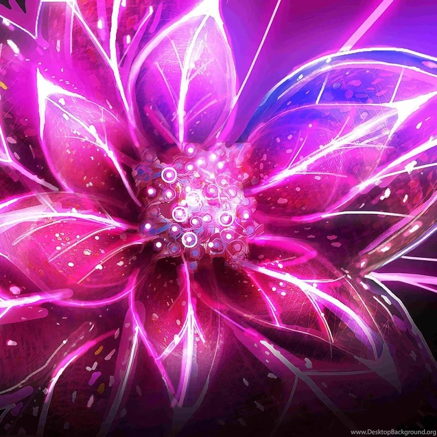 Neon Flowers Live Wallpapers Android Apps On Google Play