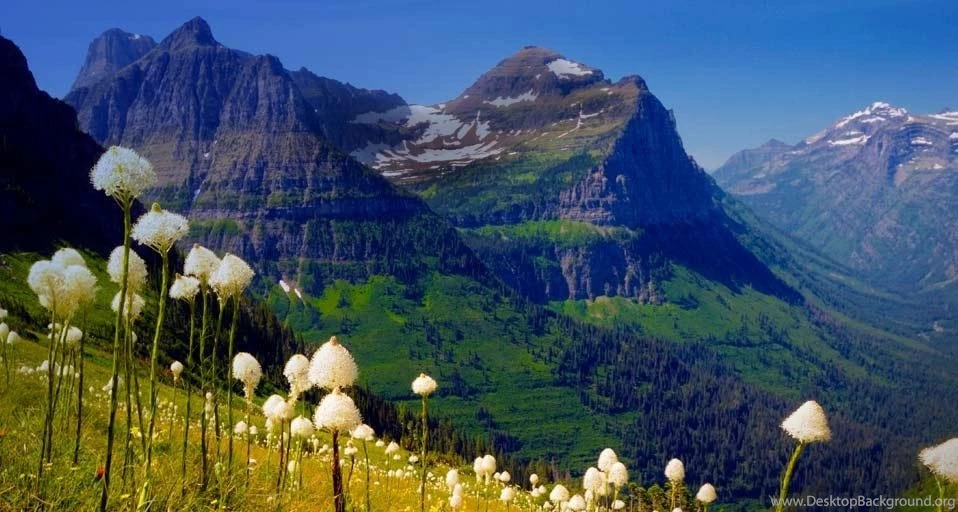 Bing Wallpapers Archive