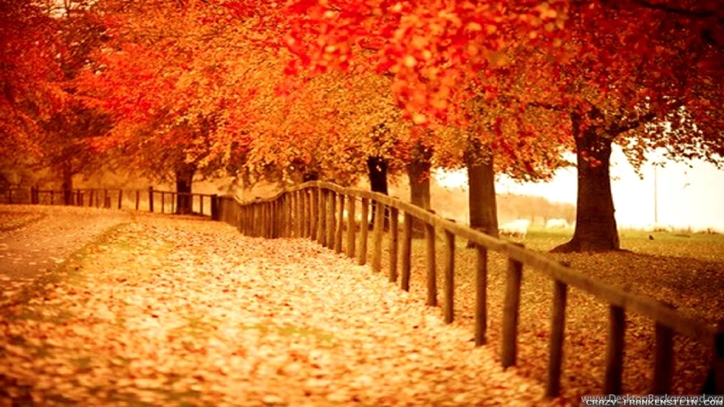 Beautiful Autumn Wallpapers 2 Seasonal Crazy Frankenstein