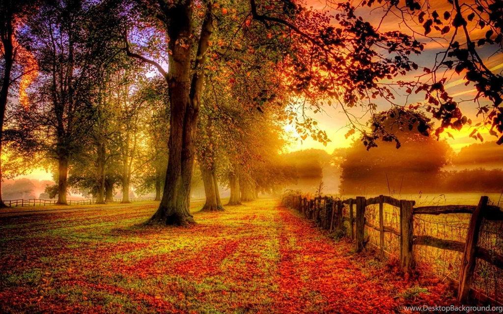 Beautiful Autumn Garden Wallpapers