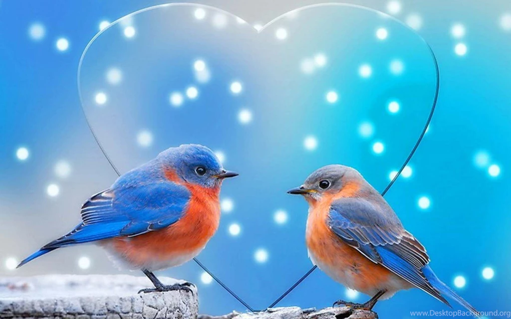 Love Birds Wallpapers For Mobile – Wallpapers