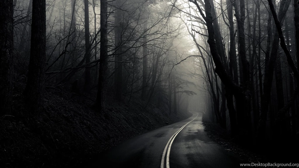 Dark Forest Backgrounds 11174 Pacify Mind
