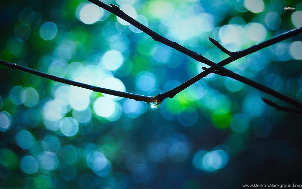 Top Raindrop Desktop Wallpapers Wallpapers