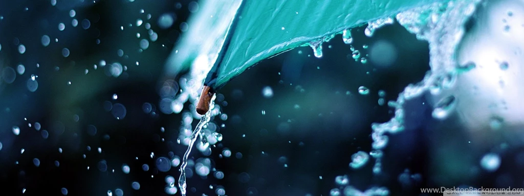 Rain Drops Over Umbrella HD Desktop Wallpapers : High Definition ...
