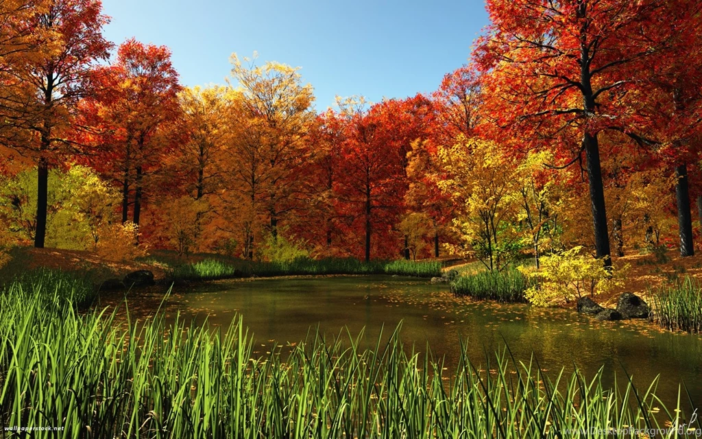 1680x1050 Fall Pond Desktop PC And Mac Wallpapers