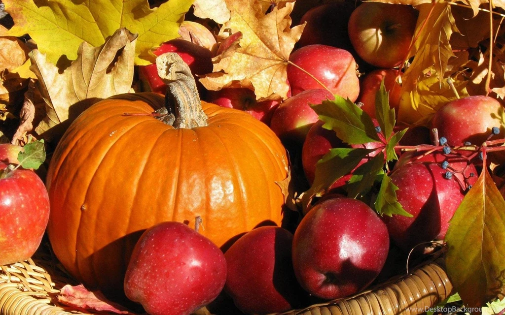 Fall Harvest HD Wallpapers For PC 3848 Amazing Wallpaperz