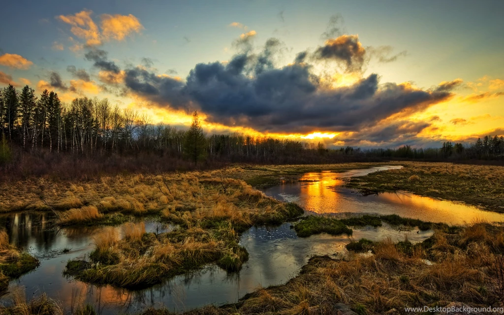 Index Of /21x/35 NEW HD Wallpapers Wide Pack [Up To 2560x1600 ...