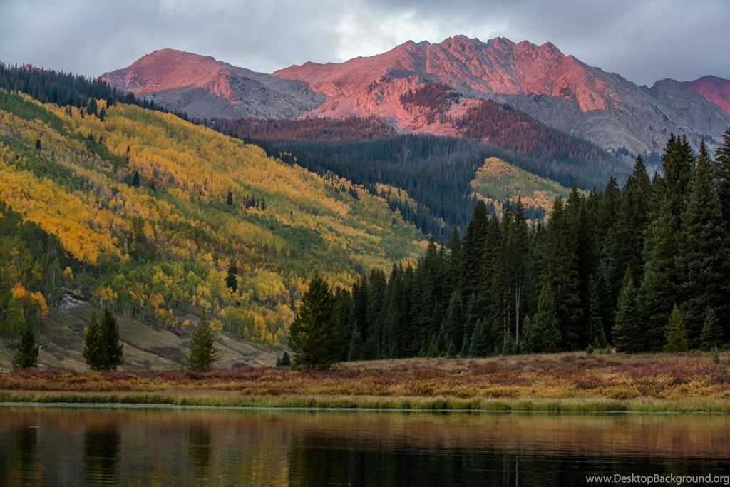 Wildlife At Piney River Ranch Colorado