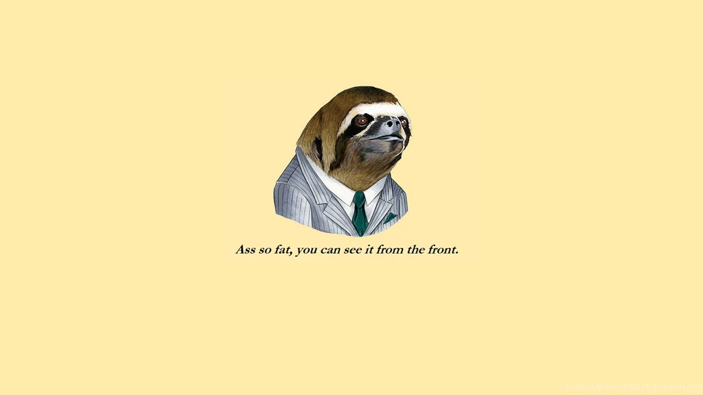 Funny Sloth Face Meme HD Wallpapers