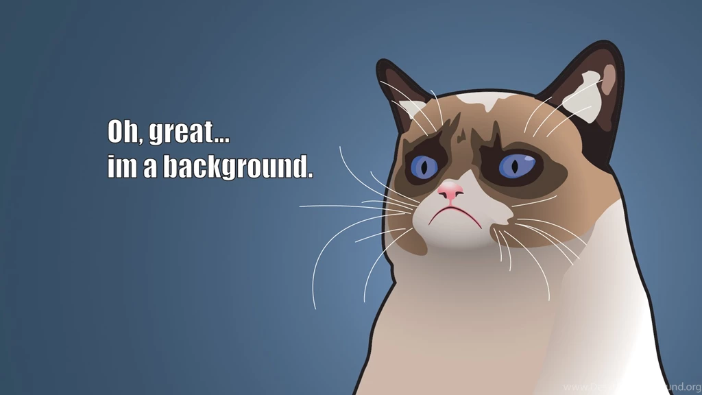 Download Wallpapers 1920x1080 Grumpy Cat Meme Cat Full Hd 1080p ...