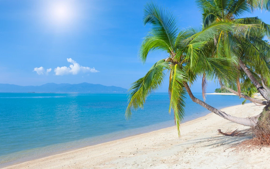 Summer Beach