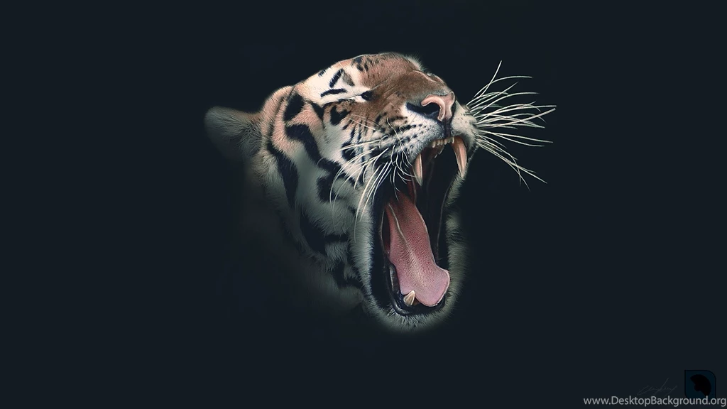 Tiger Wallpapers By Ceykey On DeviantArt